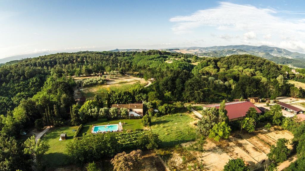 Fioralice Guest House Fauglia Cameră foto