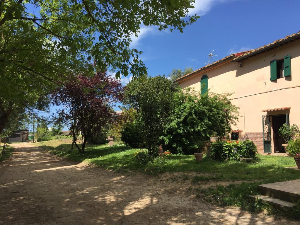 Fioralice Guest House Fauglia Exterior foto